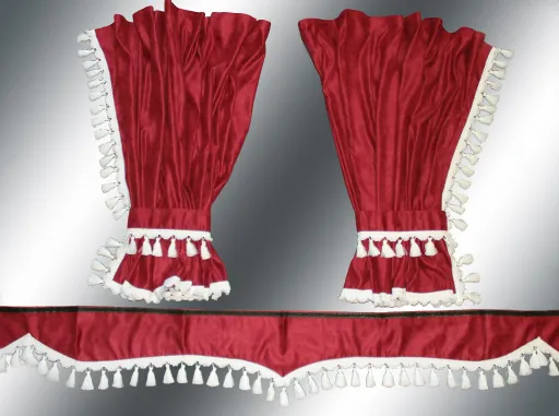 MAN CURTAIN CURTAINS NEW TGX MODEL FROM 2020. + HOOKS