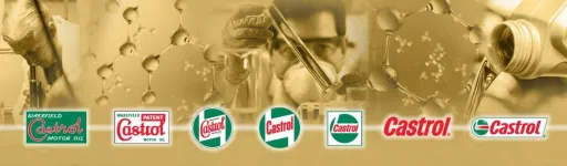 5W30 5L МОТОРНОЕ МАСЛО TITANIUM CASTROL EDGE LL